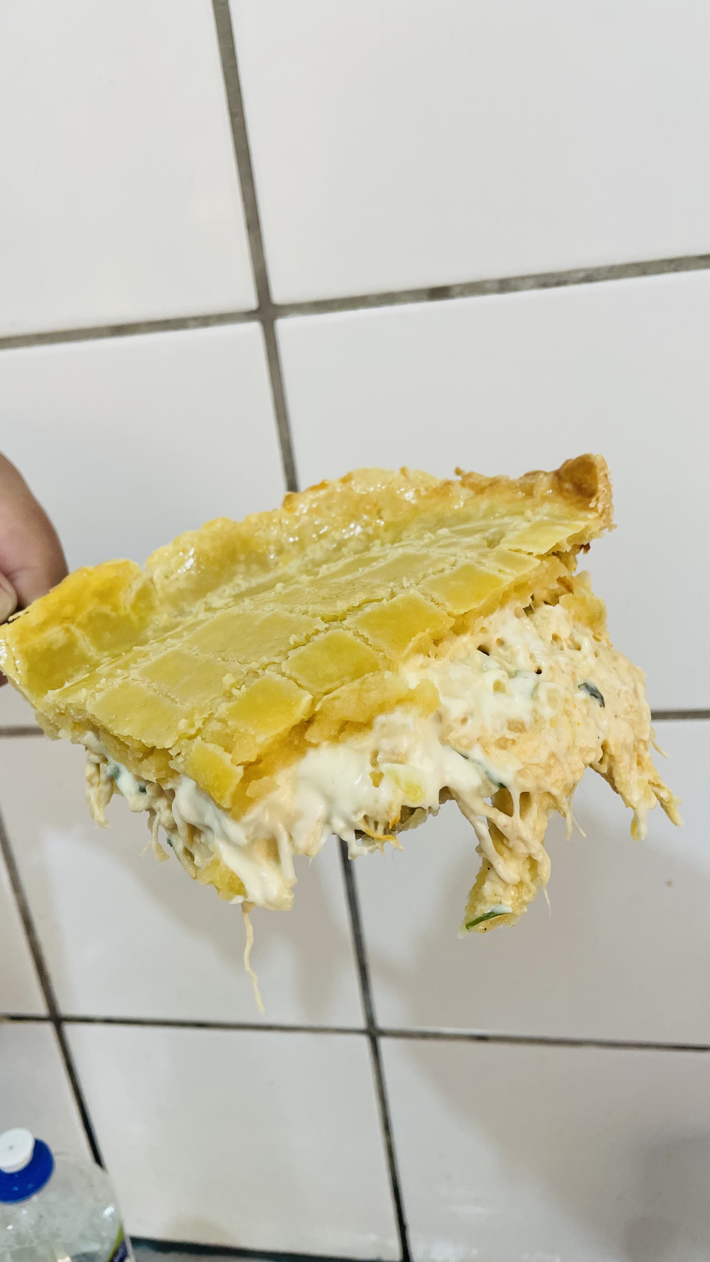 Empadão de frango com requeijão