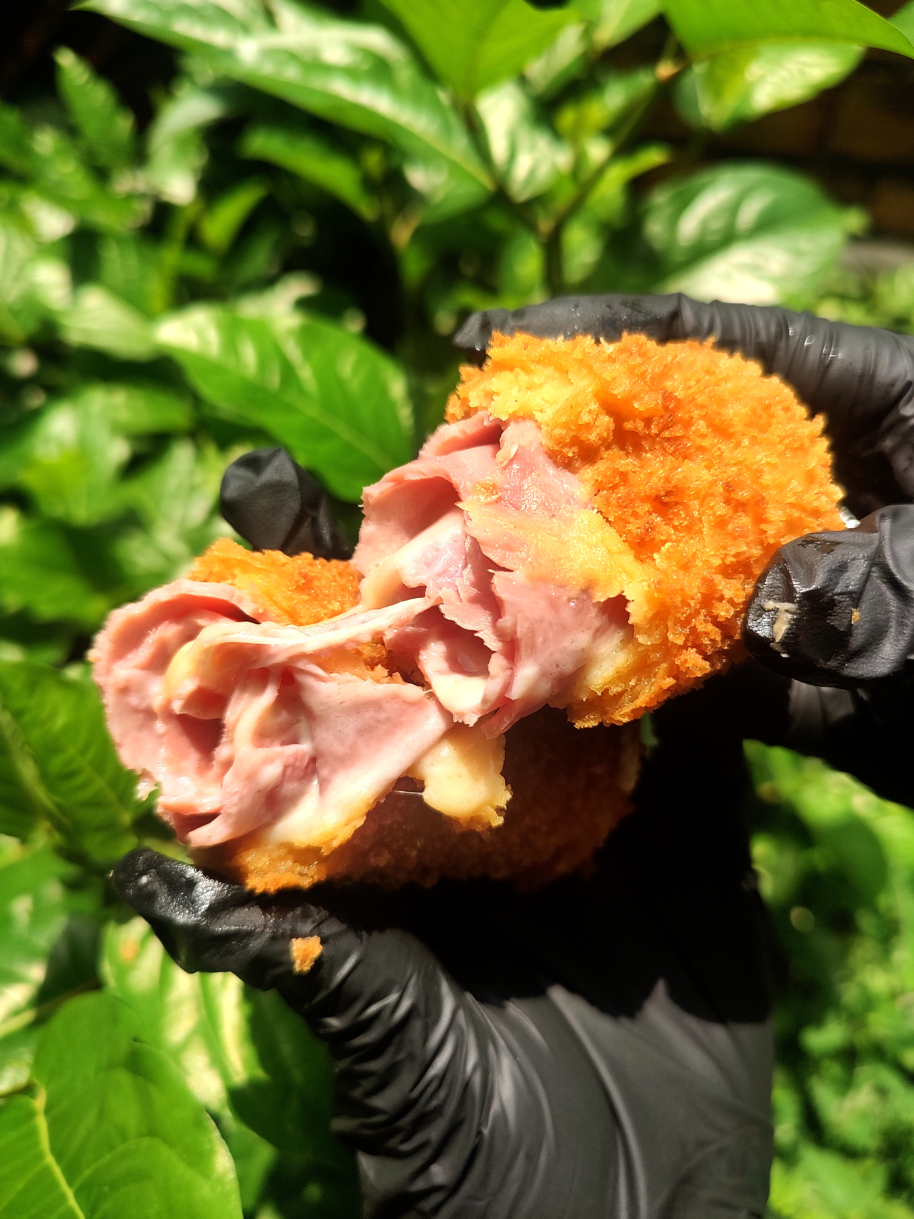 Crocante de Presunto e Queijo